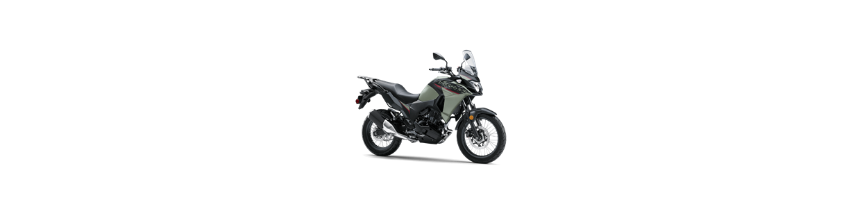 Versys-X 300 [ABS]
